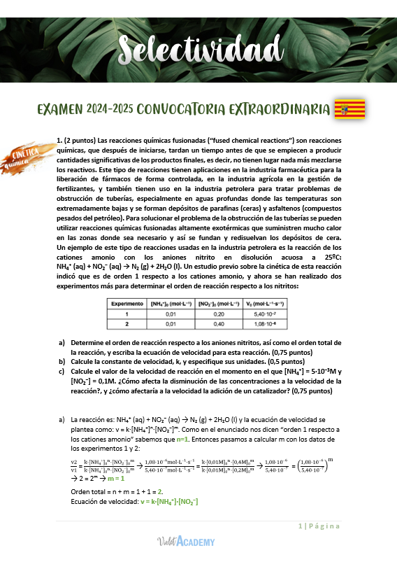 PACK Exámenes Selectividad Resueltos - Imagen 5