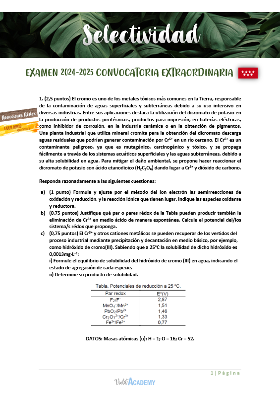 PACK Exámenes Selectividad Resueltos - Imagen 6